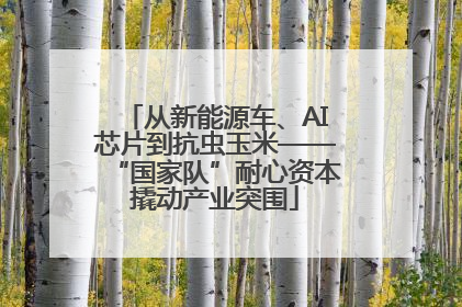从新能源车、AI芯片到抗虫玉米——“国家队”耐心资本撬动产业突围